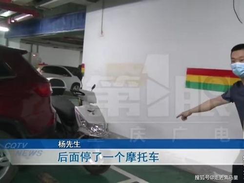 重庆杨先生最新爆料,揭秘事件背后惊人真相